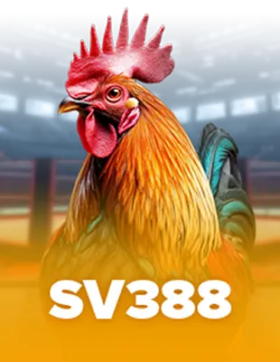 Sport 3